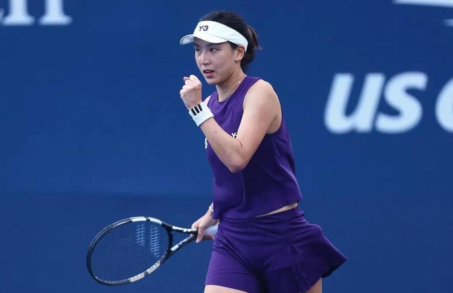 有参赛情况, 施耐德, 阿扎伦卡 有参赛情况, 施耐德, 阿扎伦卡